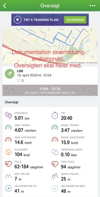 Dokumentation Strava (Screendump)